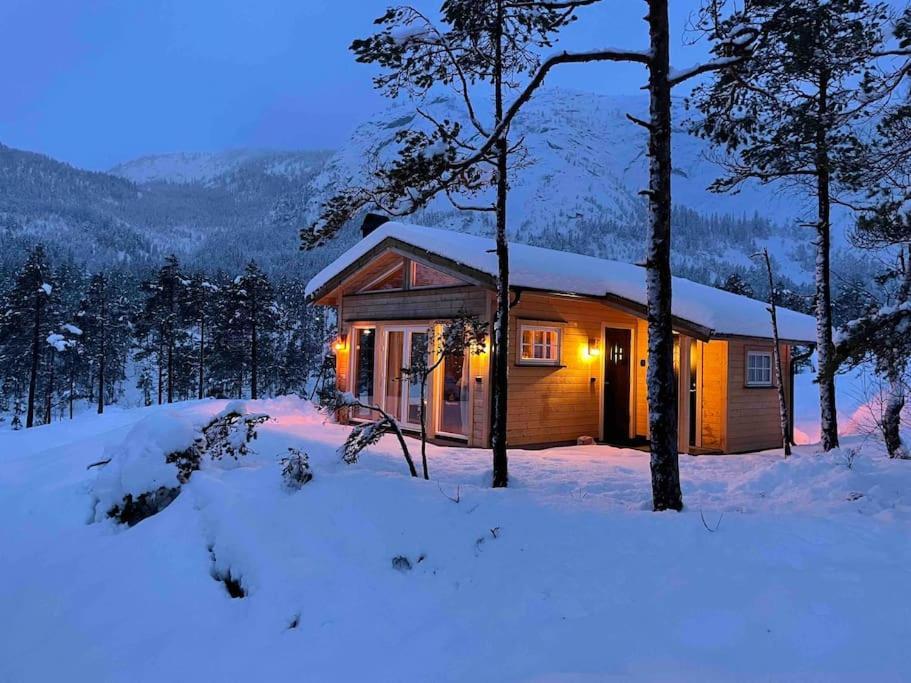 Cosy Cabin Between Lake And Mountain Treungen Exteriér fotografie